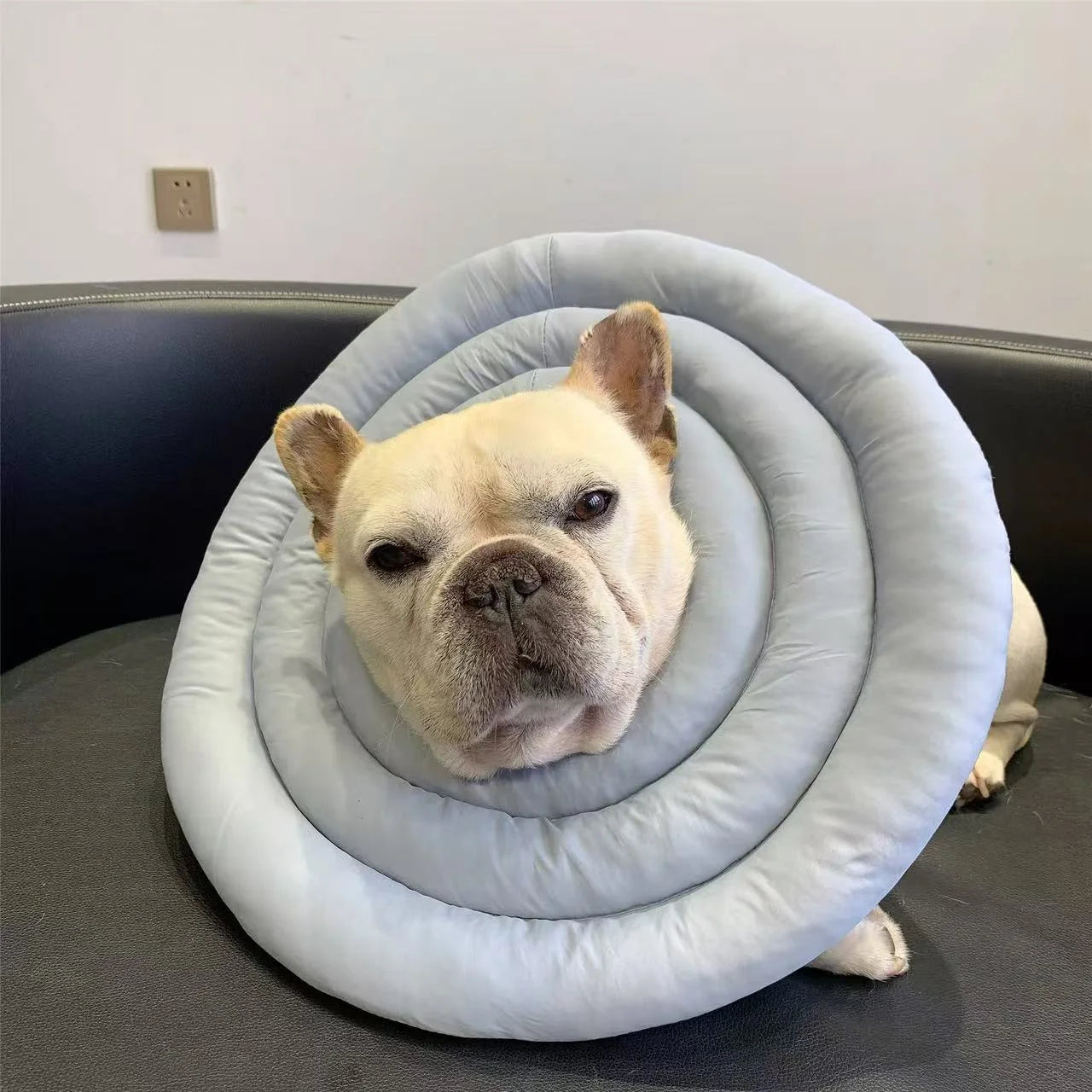 Recovery Cone Adjustable Collar for Dog & Cat
