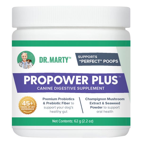Dr. Marty ProPower Plus Digestive Supplement for Dogs 2.2oz